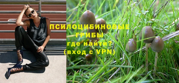 прущая мука Вяземский