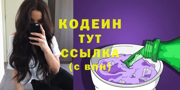 прущая мука Вяземский