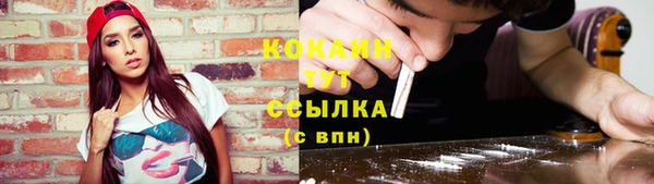 мдпв Вязники