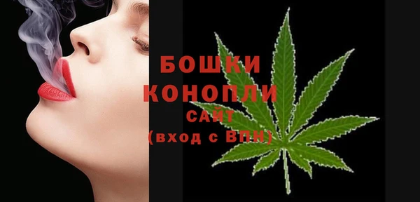 мдпв Вязники