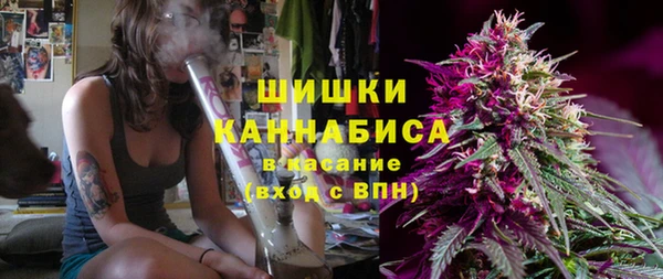 прущая мука Вяземский