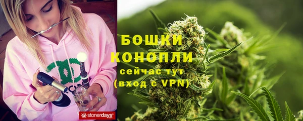 прущая мука Вяземский