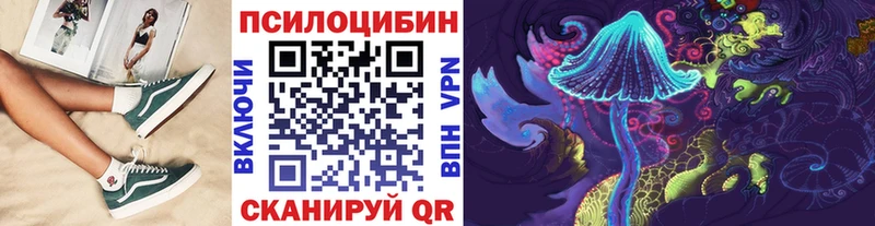 Купить закладки  Родники  Псилоцибиновые грибы Psilocybe 